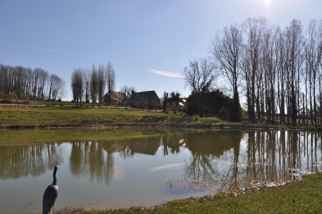 Bed and Breakfast La Brissauderie Jars Екстер'єр фото